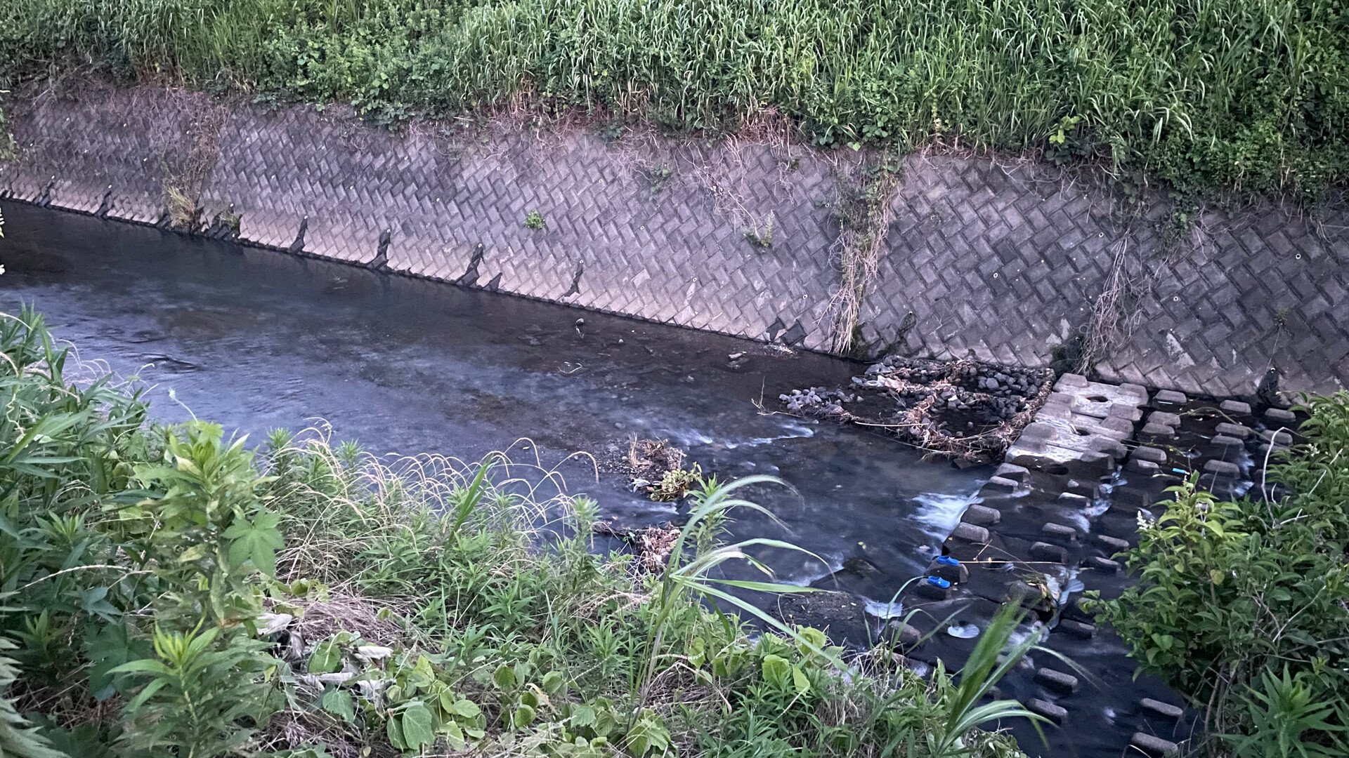 小学5年生の男児が川で溺れたか　意識不明の重体　横浜市・旭区