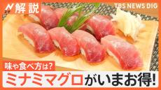 高級魚「ミナミマグロ」が去年より約2割安い！ 甘み強く味が濃い“赤いダイヤ”は炙りや漬け丼で美味しく食べよう【Nスタ解説】