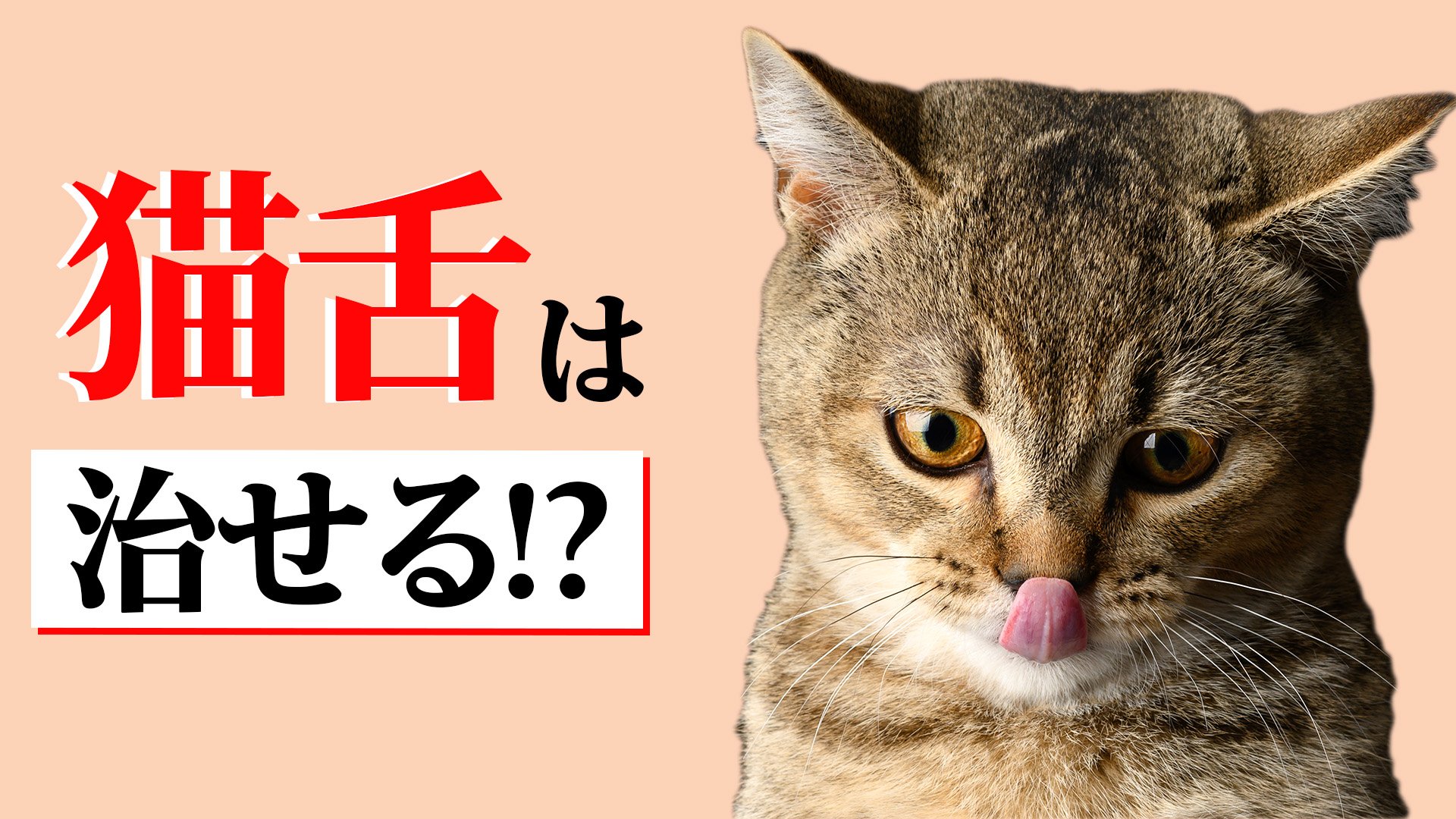 猫に限らず「動物はみんな猫舌」熱いものが食べられないのは「舌」の使い方のせいだった 「猫舌」を克服する方法