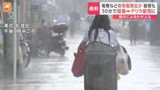 30分間で猛暑→ゲリラ豪雨に　埼玉では竜巻とみられる激しい突風による被害も　関東各地で天気急変