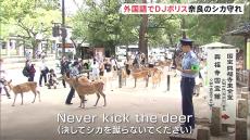 シカに暴力をふるう動画拡散も「シカを蹴らないで」奈良公園でトラブル増加し県警が呼びかけ