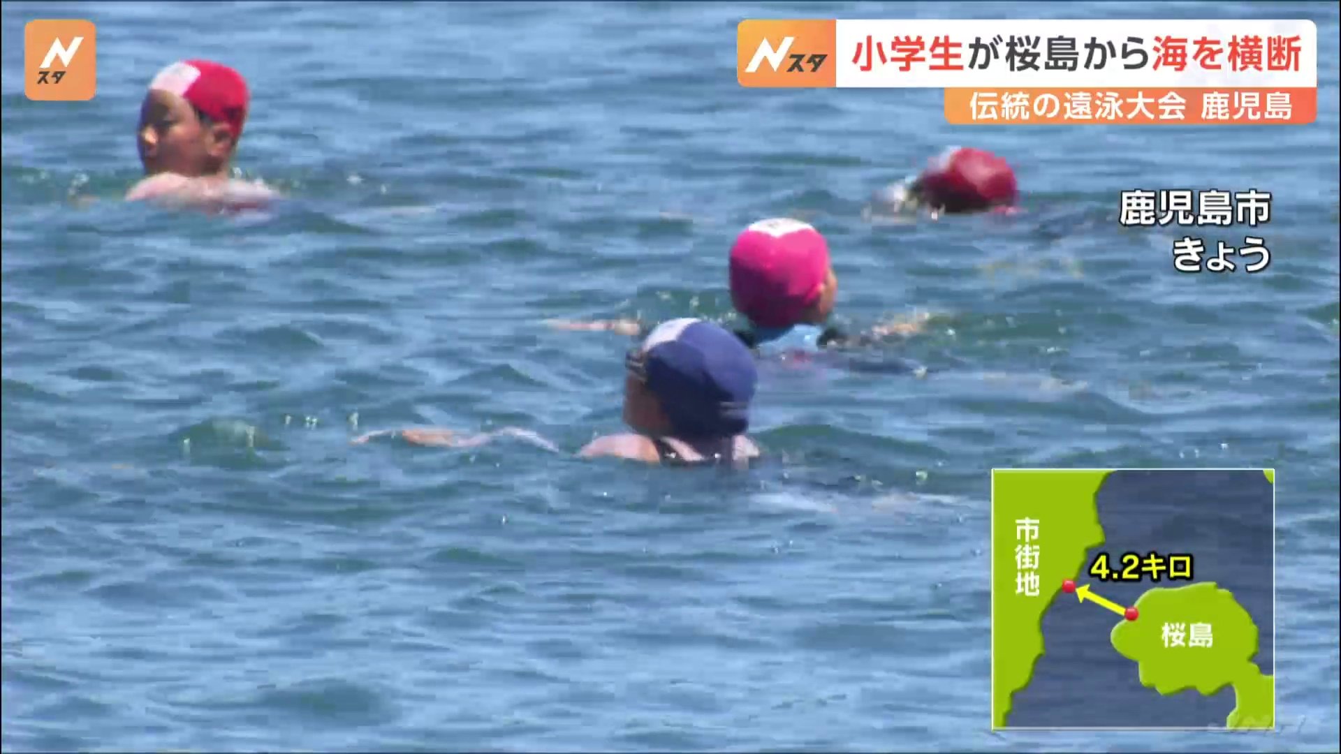 小学生が4.2キロを泳いで渡る錦江湾横断遠泳「楽しかった」「鼻に水が」　鹿児島