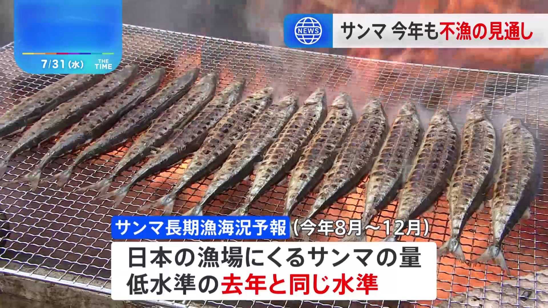 不漁が続くサンマ　日本の漁場にくる量は「去年と同じ低い水準になる」水産庁