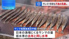 不漁が続くサンマ　日本の漁場にくる量は「去年と同じ低い水準になる」水産庁