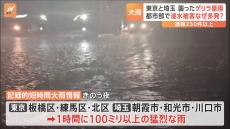 都市部で冠水浸水が起きやすいワケとは…東京と埼玉で「記録的短時間大雨情報」　被害通報230件以上　