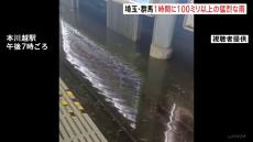 県庁に落雷も…埼玉の8自治体で1時間に100ミリ以上の猛烈な雨　線路が冠水して鉄道にも影響　記録的短時間大雨情報