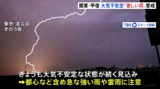 関東・甲信　大気不安定「激しい雨」警戒　埼玉きのう大雨に関する通報が約240件に きょう日本航空と全日空あわせて66便欠航