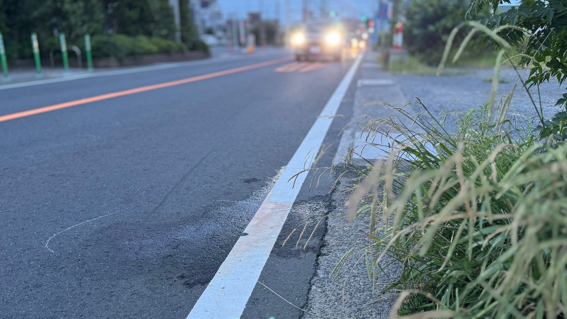 さいたま市の県道で死亡ひき逃げ事件　50代～70代くらいの男性が車にはねられたか