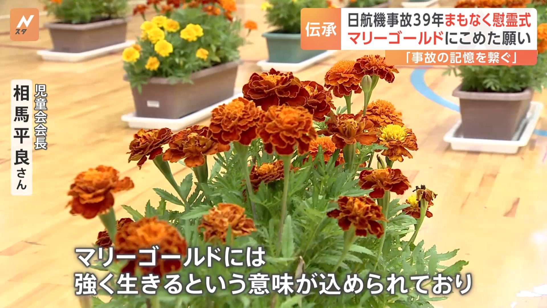 日航機墜落事故39年 “マリーゴールドとともに”地元の子どもたちが繋いできた事故の記憶