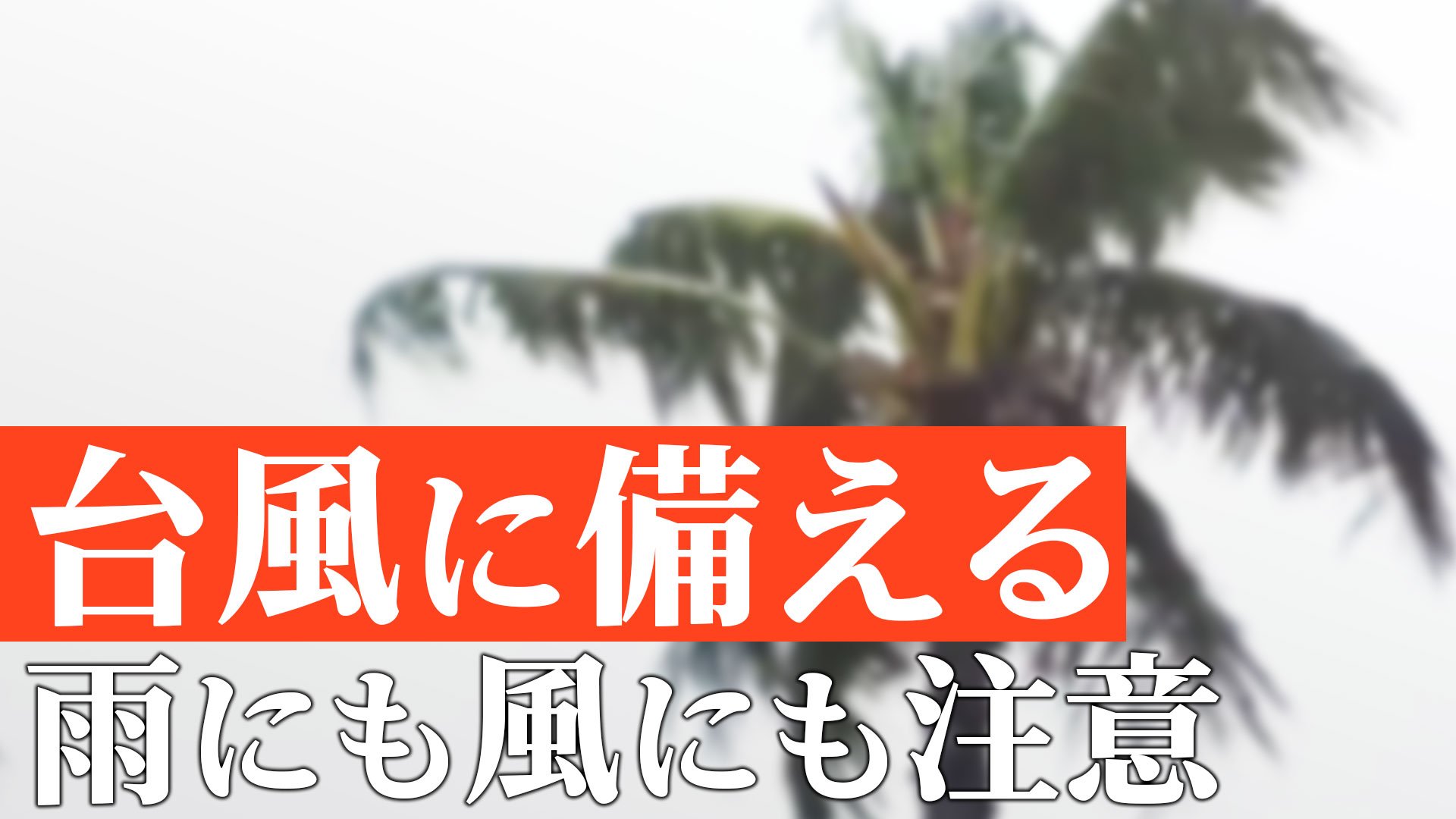 【台風対策】窓はテープで補強、飛ばされそうな物は屋内へ 台風が去った後も車の運転には要注意　台風7号（アンビル）16日ごろ関東地方に影響のおそれ