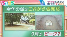 「家に入るときにフェイント」が有効！?今年の『蚊』は9月から？活発化する蚊に刺されない方法【ひるおび】