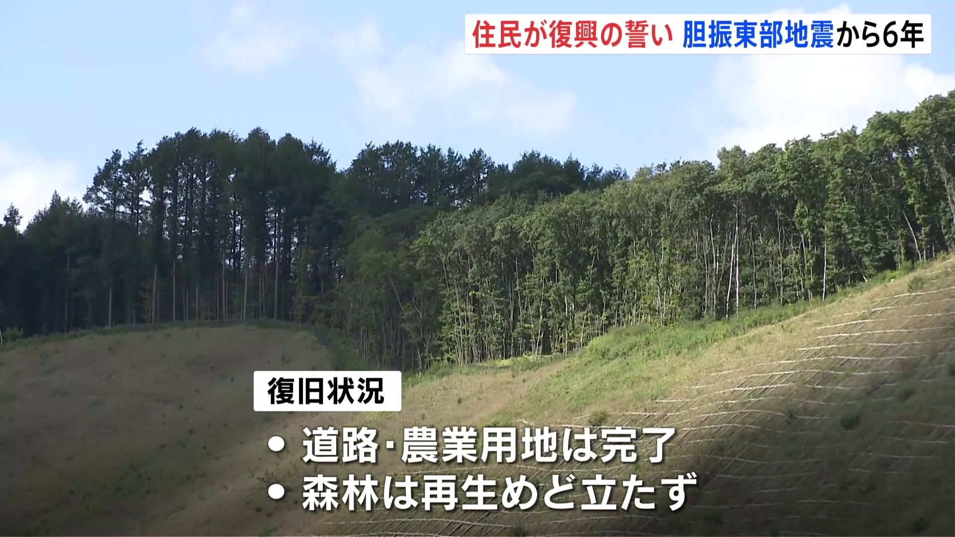 国内最大規模の被害を受けた森林は再生のめど立たず　北海道・胆振東部地震から6年