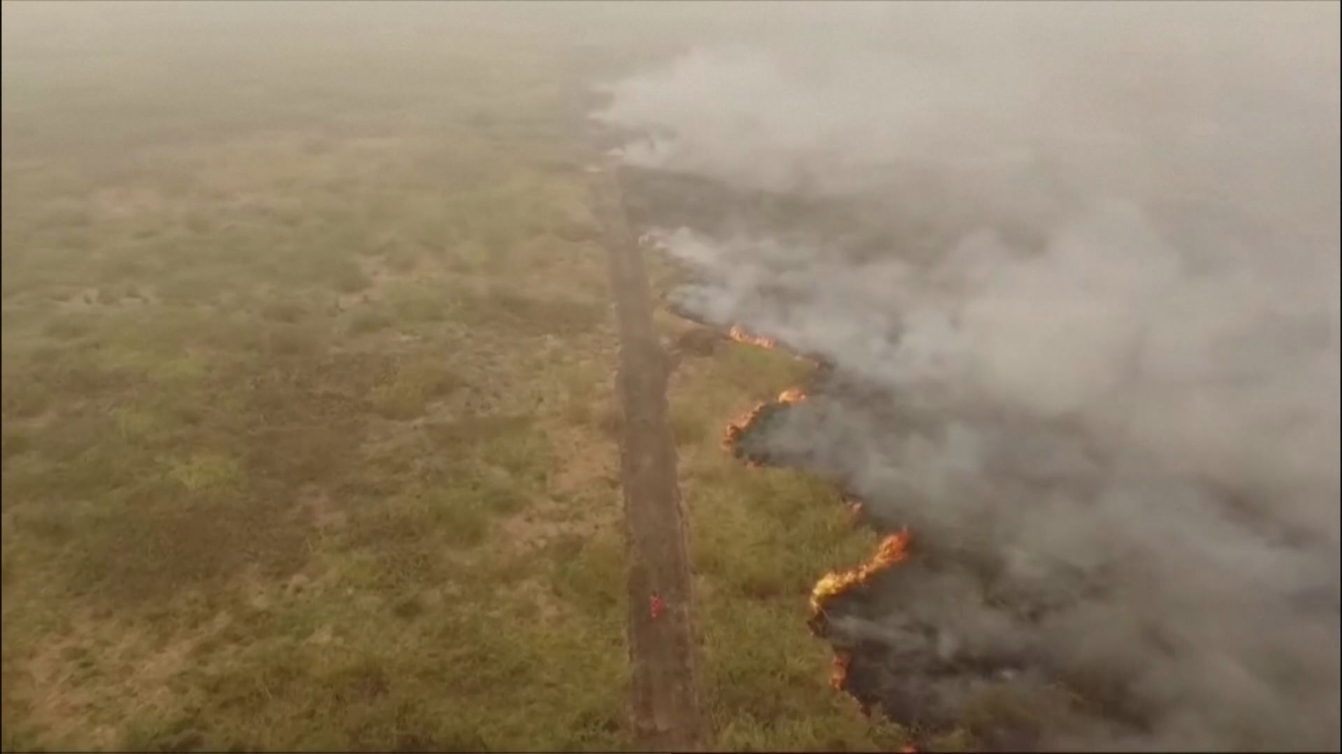 南米ボリビア　山火事で国家非常事態宣言　少なくとも3万平方キロメートルが焼失