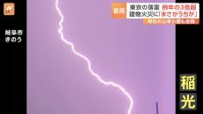 東京の落雷数は例年の3倍超に　建物火災に「まさかうちが」　神社の山車小屋も全焼