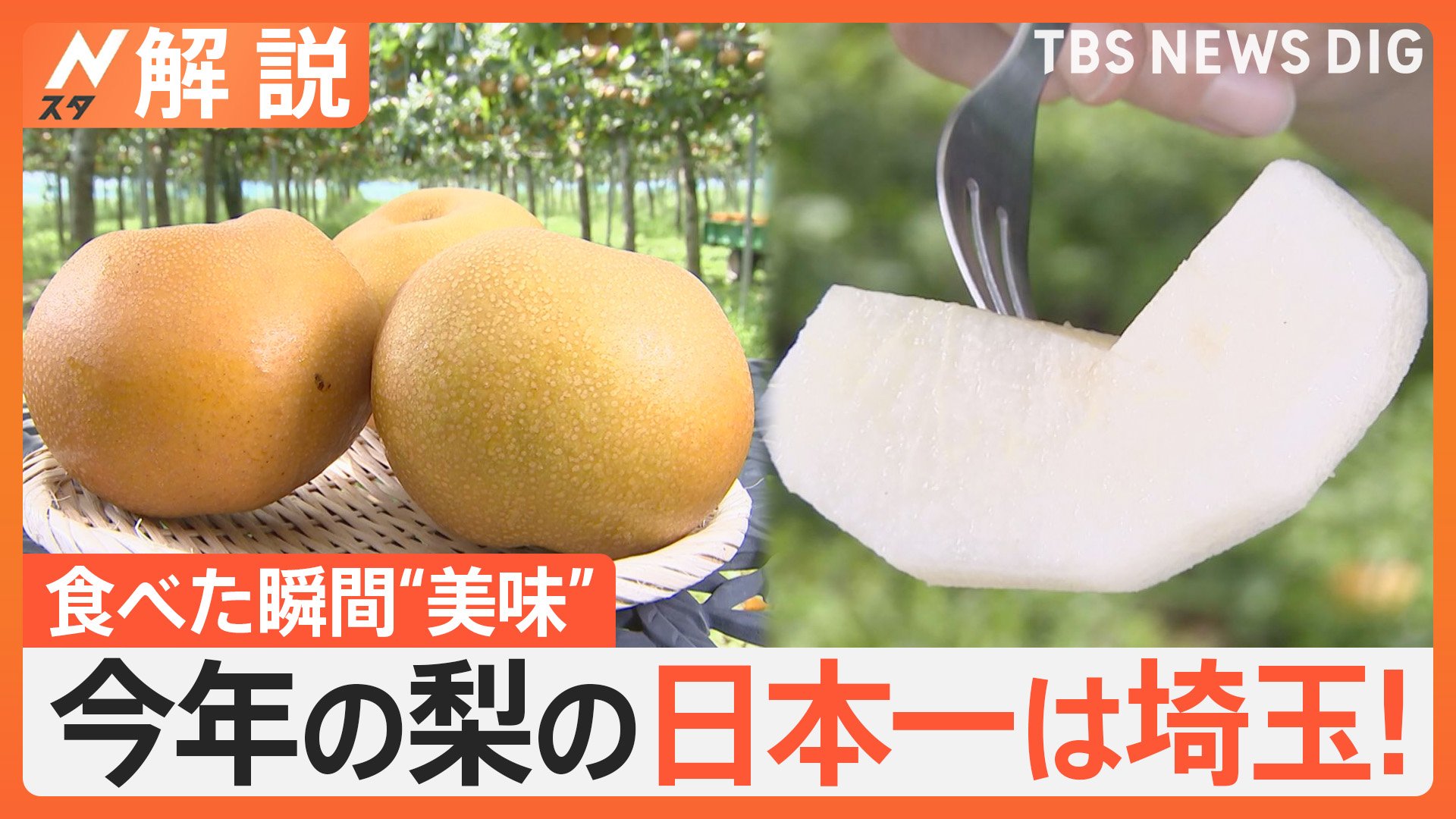 埼玉県が“高級フルーツ王国”に⁉ 「量より質」でブランド梨やイチゴは日本一に　産地化を目指す幻のフルーツ「ポポー」とは【Nスタ解説】