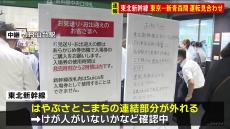 走行中の東北新幹線で車両の連結部分が外れるトラブル　東京－新青森間の上下線で運転見合わせ　再開の見込み立たず