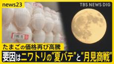 “エッグショック”再び…食卓にかかせないたまごの価格が高騰　要因はニワトリの“夏バテ”と“月見商戦”【news23】