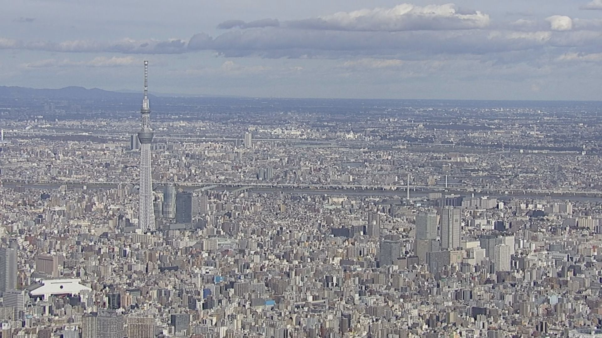 東京23区の9月消費者物価2.0％上昇…電気・ガス補助金再開で伸び率5か月ぶりに縮小もコメ類は41.4％上昇