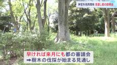 明治神宮外苑の再開発 「伐採する樹木を124本減らす」計画見直し案の住民説明会開催