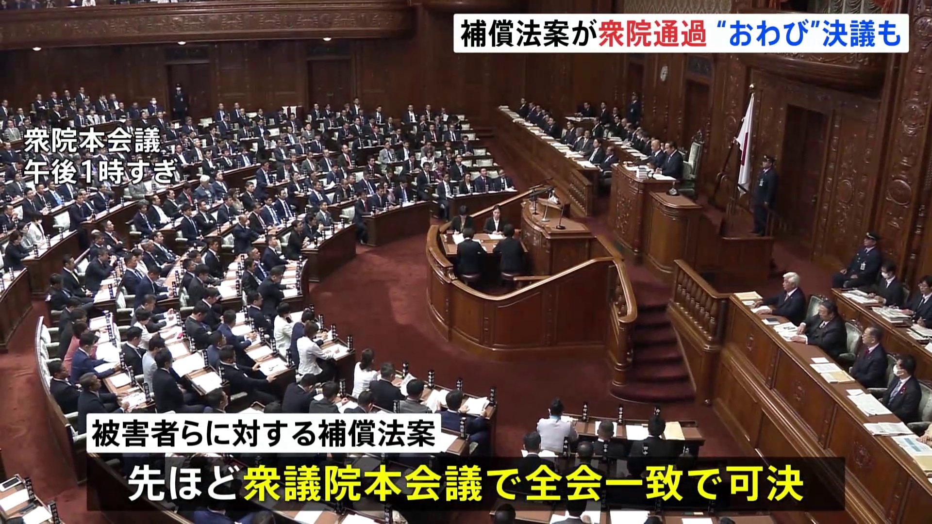 旧優生保護法下で不妊手術を強制された被害者救済法案、衆議院通過　今国会で成立へ