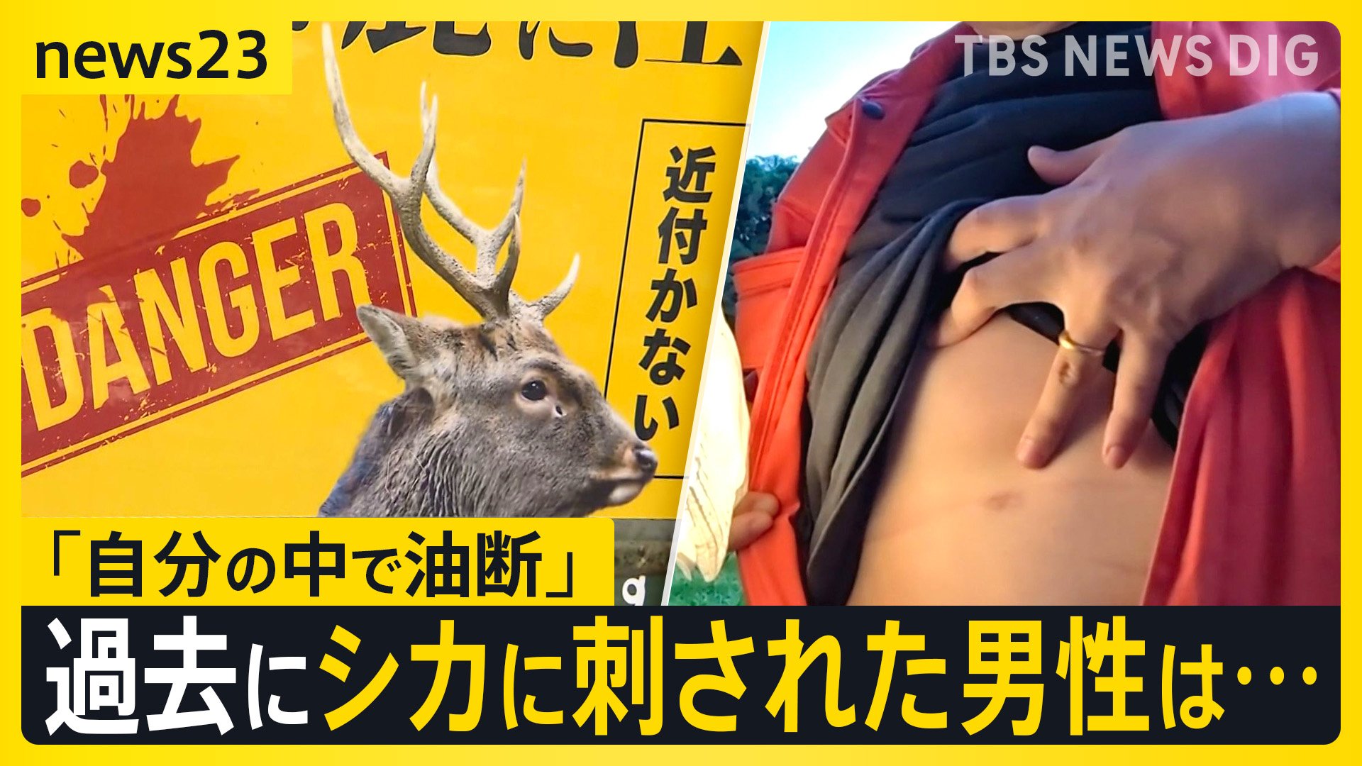 シカの角に刺されたか　京都府の田んぼで男性死亡　過去にシカに刺された男性「油断があった」 繁殖期の危険とは？【news23】