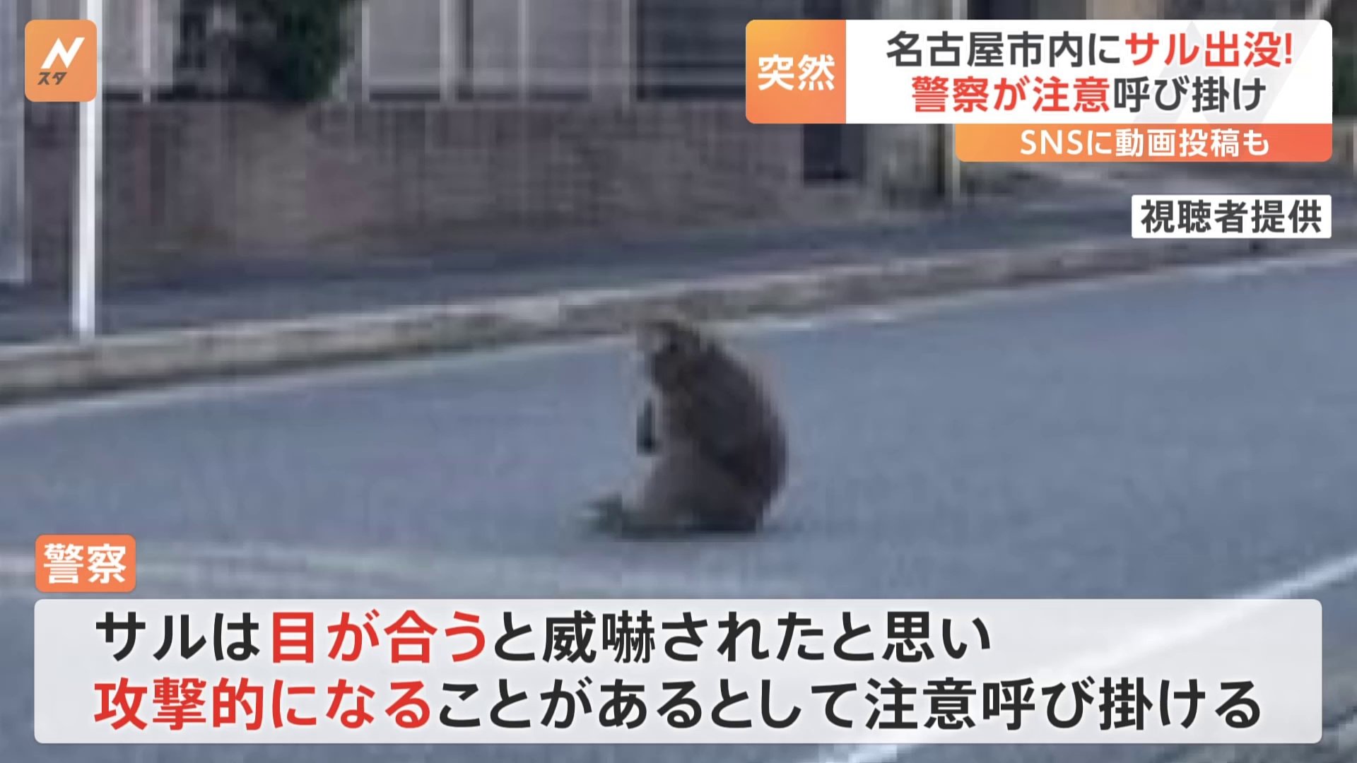 昼過ぎの名古屋の街にサルが…警察が注意を呼びかけ