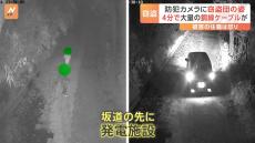 【防カメ映像】寺の住職が静かに憤り「悪いことをしてはいけないとは子どもに教えること」 寺が所有の発電施設で銅線ケーブル約840メートル窃盗か　タイ国籍の男4人逮捕　警視庁