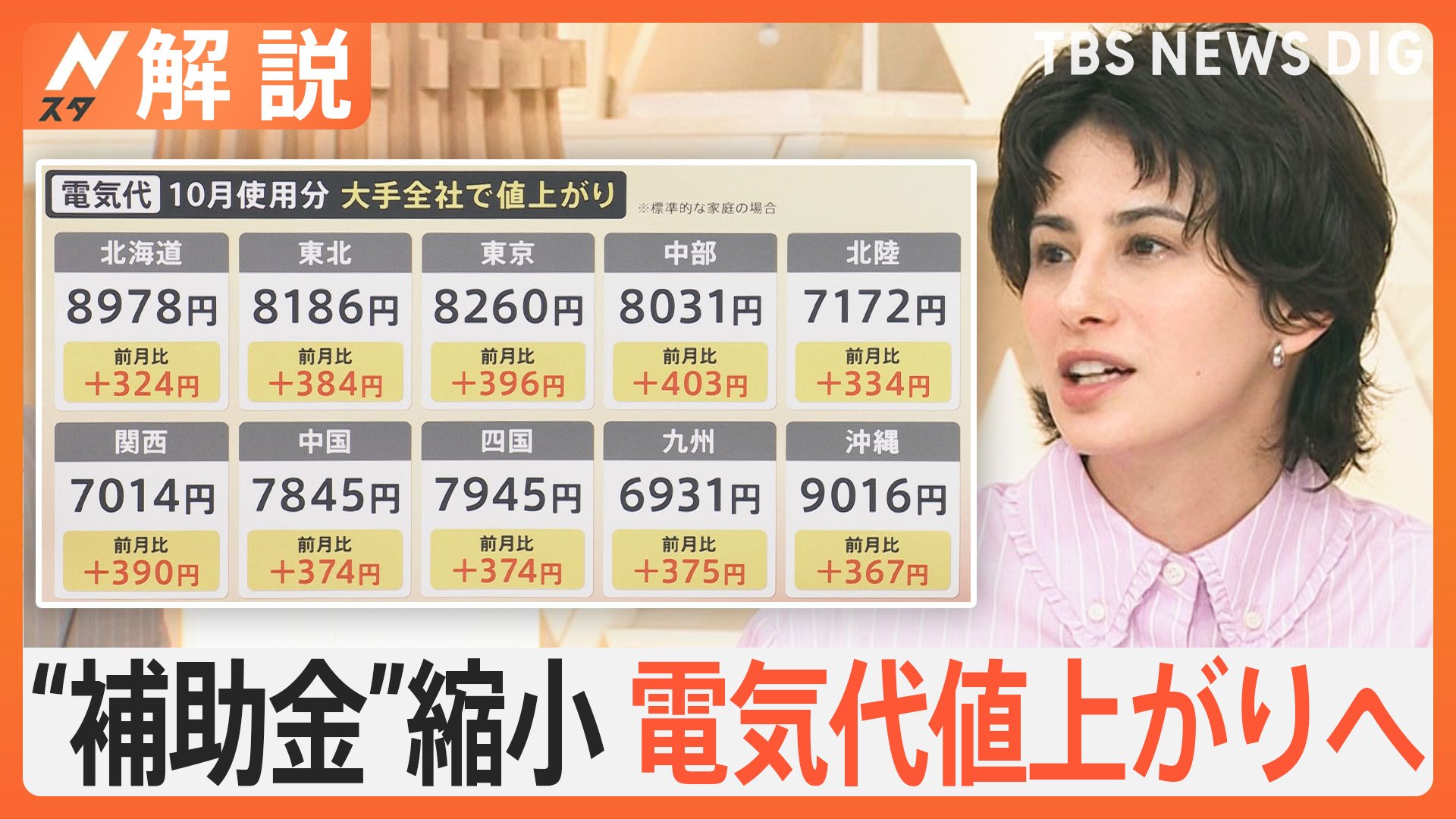 10月で“補助金”縮小 電気代値上がりへ　冬を前に…家電の点検で暖房効率UP、事故対策にも【Nスタ解説】