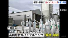 千葉県の養鶏場で高病原性鳥インフルエンザを確認　全国で今季2例目　千葉県内では今季初