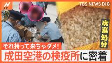 外国人が日本に持ち込む“持ち込み禁止品” 中国人が続々持ち込む「月餅」禁止のワケ　米不足で海外からお米の持ち込み急増！？