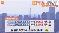 国民民主が主張の「年収103万円の壁」引き上げ　しかし“働き控え”の本丸は「社会保険の壁」…