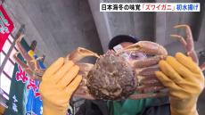 日本海の冬の味覚「ズワイガニ」水揚げ　兵庫・新温泉町で今シーズン初