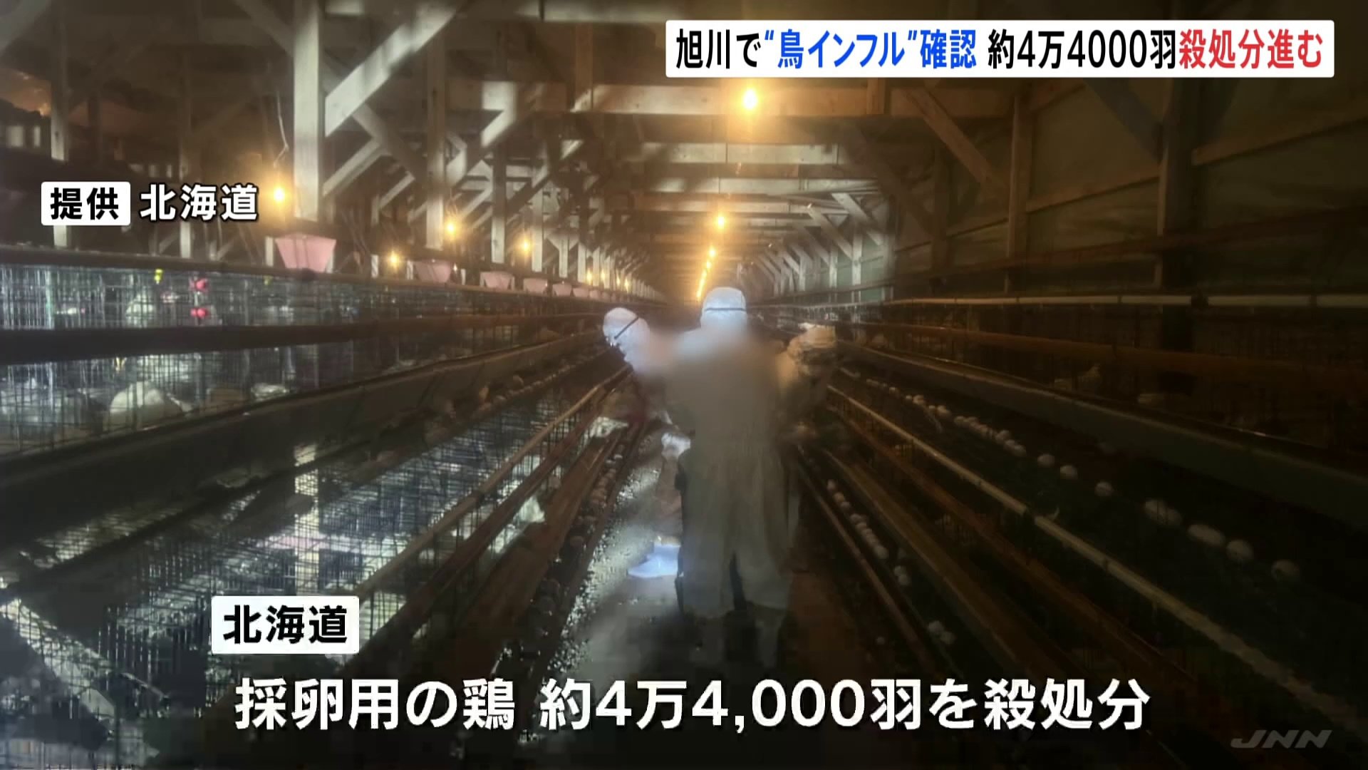 高病原性鳥インフルエンザ 北海道・旭川市の養鶏場で確認　約4万4000羽の鶏を殺処分へ　今シーズン、全国8例目