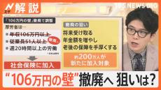 “106万円の壁”撤廃へ…手取り減る人も、週20時間労働で厚生年金 メリットは？【Nスタ解説】