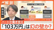 103万円は“幻の壁”か？ 年収1万円増で負担500円、専門家「配偶者特別控除を知らない人が多いのでは」【Nスタ解説】