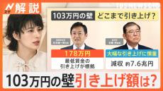 もしも178万円になったら…「103万円の壁」の引き上げで手取りはどれくらい増えるの？【Nスタ解説】