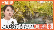 楽しむコツは「ぬる湯」と「透明」　この秋行きたい！温泉ライターおすすめの“紅葉温泉”【Nスタ解説】