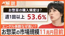 G7の中でも高水準に…日本のエンゲル係数なぜ高い？ お惣菜 市場規模は年々拡大し11兆円目前【Nスタ解説】