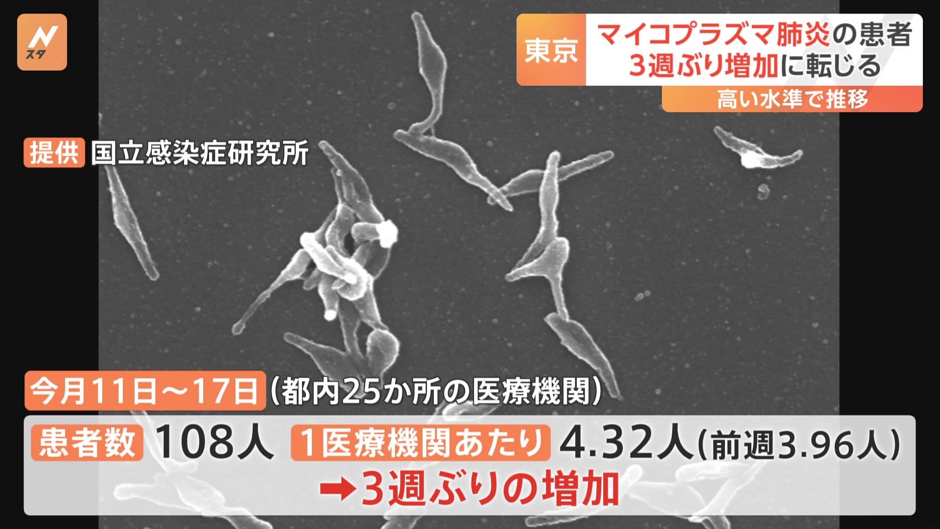 東京都　マイコプラズマ肺炎の患者数　3週ぶり増加　高水準続く