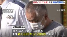 高級イチゴ「桃薫」苗を無許可販売か　12人一斉摘発、約20万円売り上げ