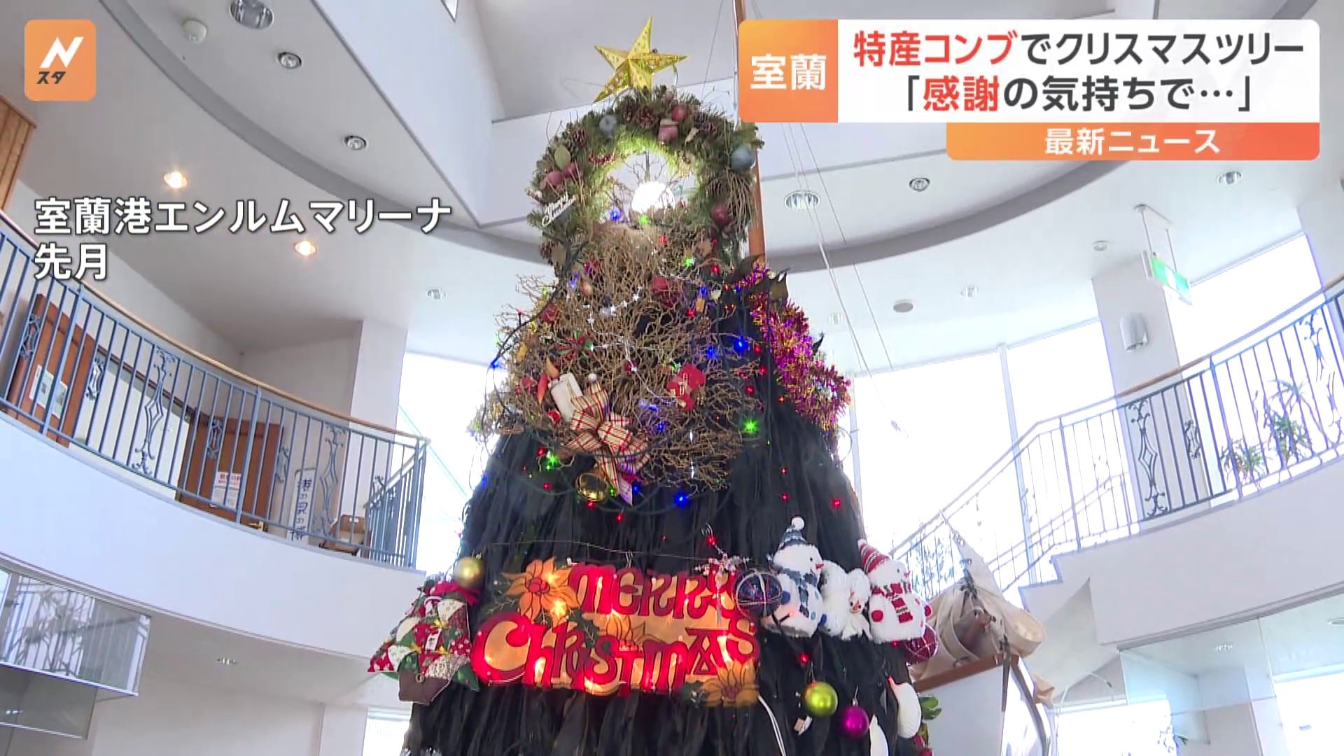 高さ3メートル コンブのクリスマスツリー　ヤヤンコンブを約35キロ使用　北海道・室蘭市