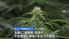 大麻に「使用罪」12日施行　不正な使用には懲役7年以下の罰則