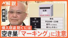 就寝時の「ノビ」に注意 “マーキング”は空き巣のサイン？侵入窃盗防ぐために年末に向けた対策は？【Nスタ解説】