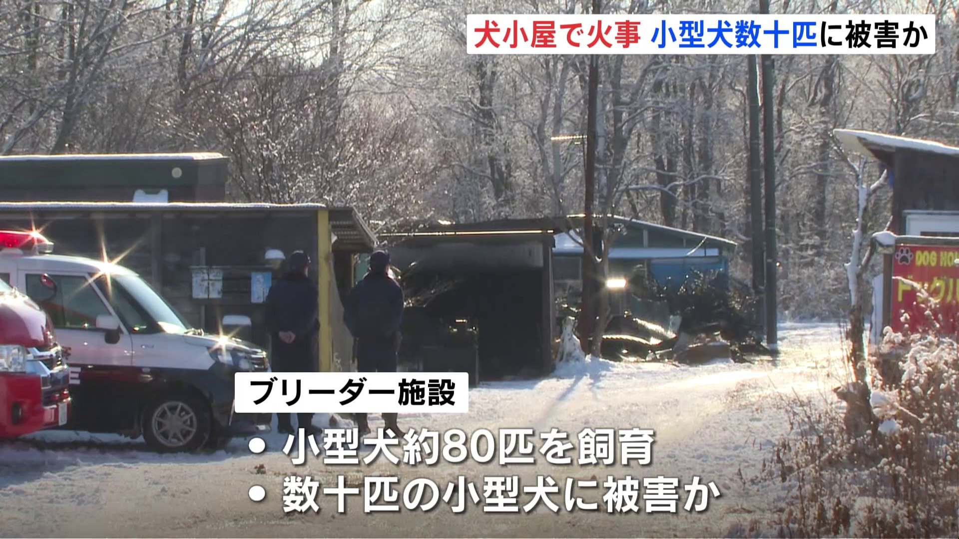 ブリーダー施設の犬小屋が焼ける火事　トイプードルなどの小型犬、数十匹に被害か