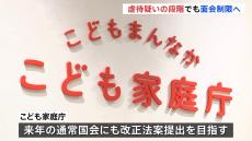 虐待“疑い”でも親の面会制限へ　児童相談所で一時保護の子ども　来年の通常国会での改正法案提出を目指す