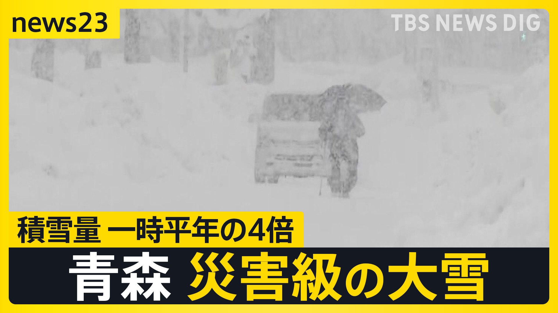 今季最強の寒波襲来で災害級の大雪も…。青森では年末年始からの雪で4人死亡。中国で感染拡大の「ヒトメタニューモウイルス」って？【news23】