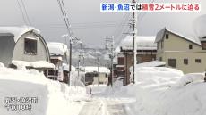 新潟・魚沼では積雪2メートルに迫る　平年の1.5倍、生活にも影響