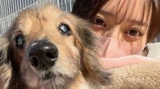 【元乃木坂46・阪口珠美】「より深く学びたい！」「無理なく老犬介護していけるように」　愛犬の死から『愛玩動物介護士アドバンス』資格を取得