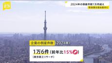 2024年の倒産件数は、前年比15％増の1万6件　3年連続の増加