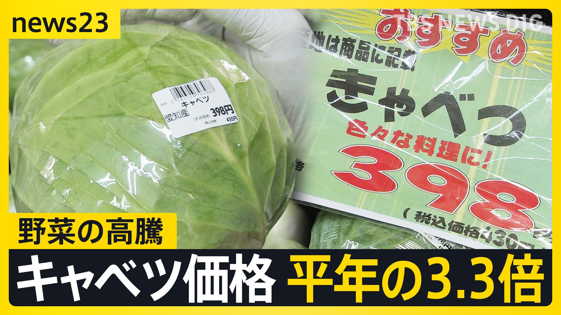 「仕入れ値とんでもなく上がってる」野菜が高騰　キャベツが平年の3.3倍　補助金縮小でガソリンも値上げへ “歴史的水準”に【news23】